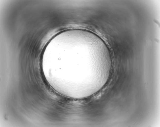 X0000093230103200710241243