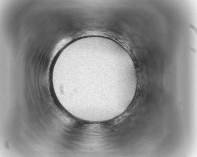 X0000093230104200710241243