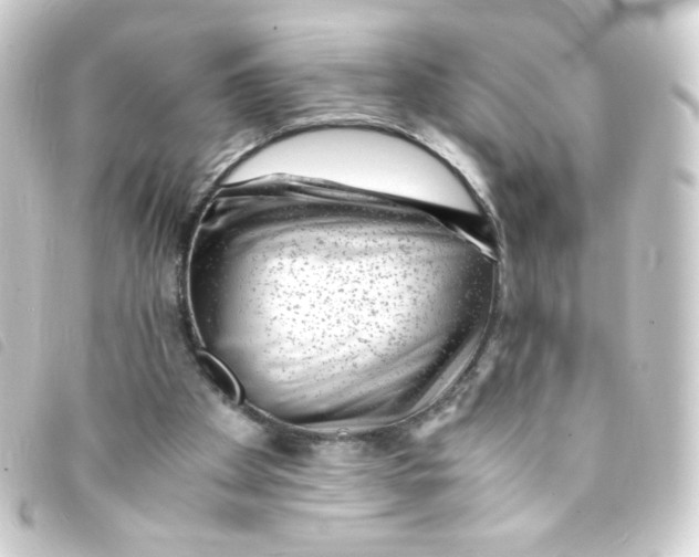 X0000093230105200710241243