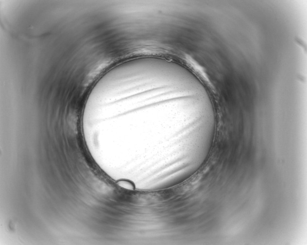 X0000093230106200710241243