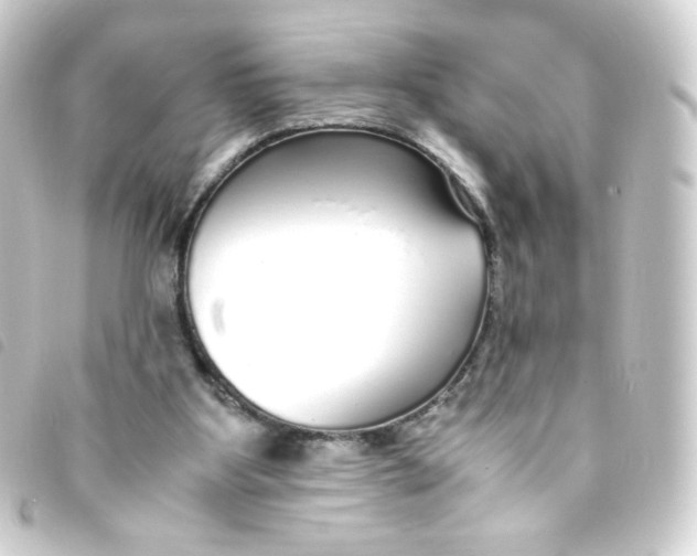 X0000093230107200710241243