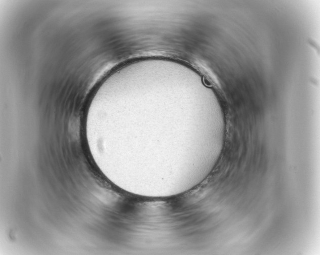 X0000093230108200710241243