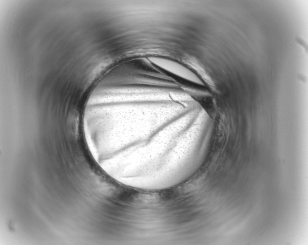 X0000093230110200710241243