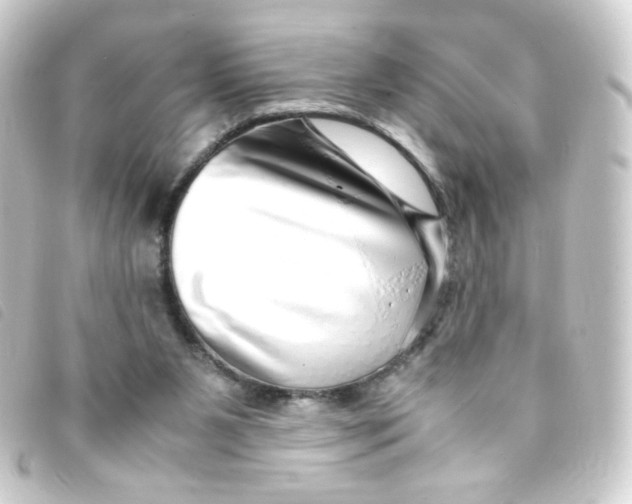 X0000093230111200710241243