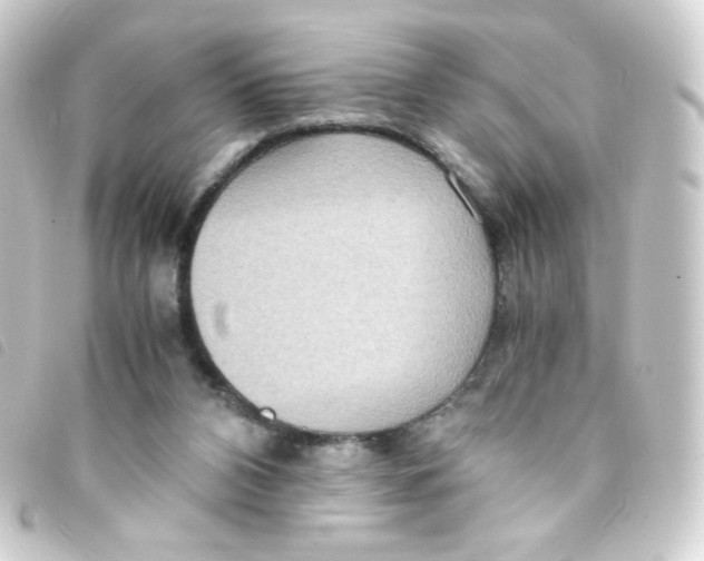 X0000093230112200710241243