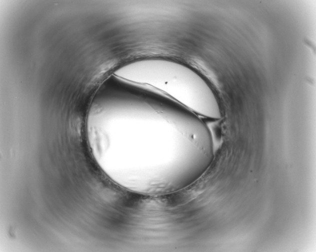 X0000093230115200710241243