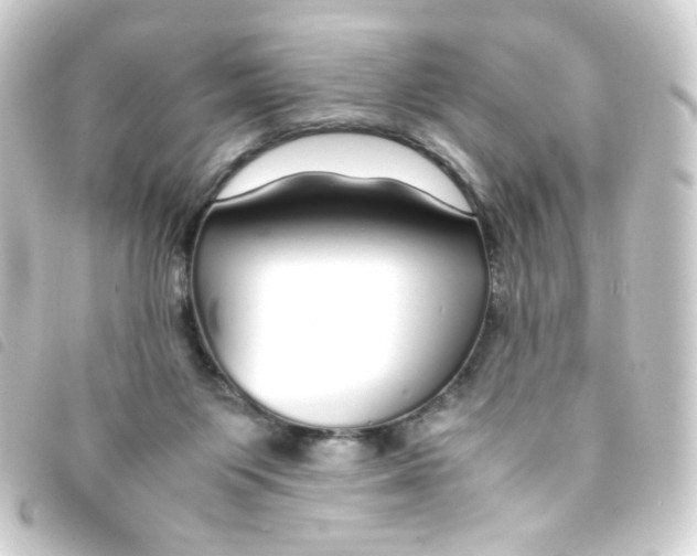 X0000093230119200710241243