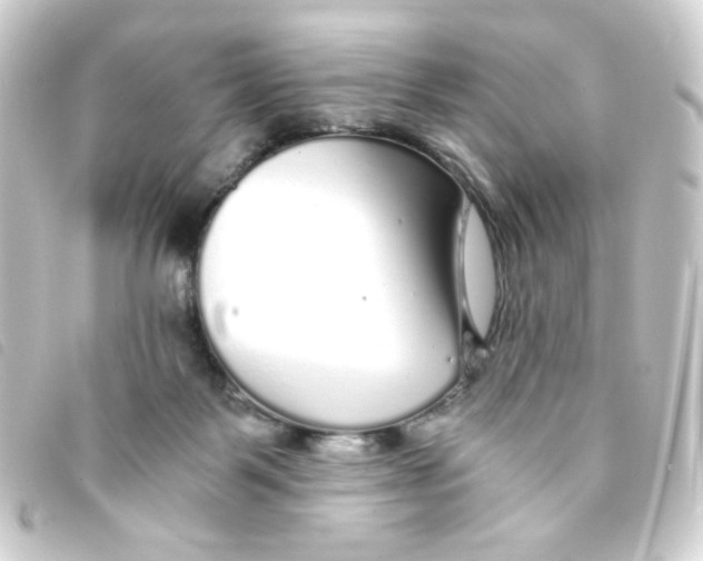 X0000093230123200710241243