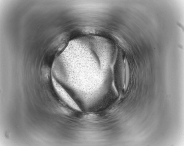 X0000093230125200710241243