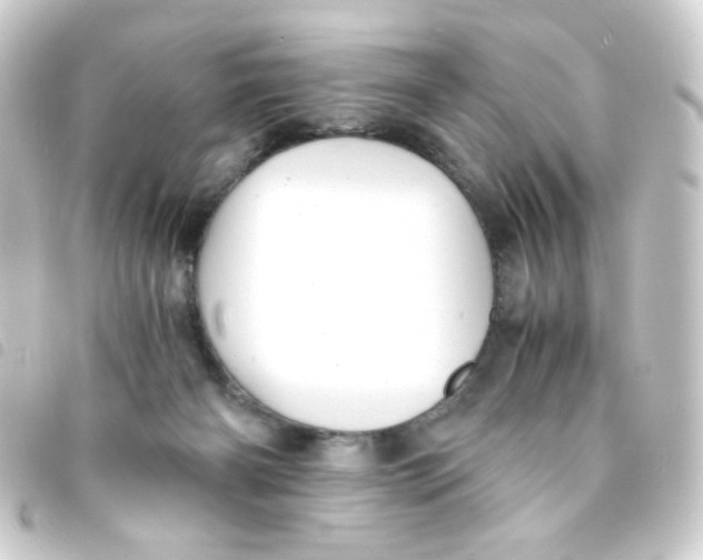 X0000093230126200710241243