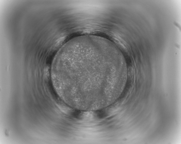 X0000093230127200710241243