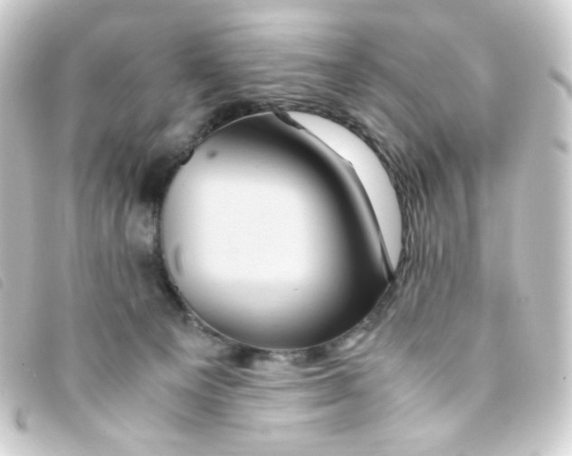 X0000093230129200710241243