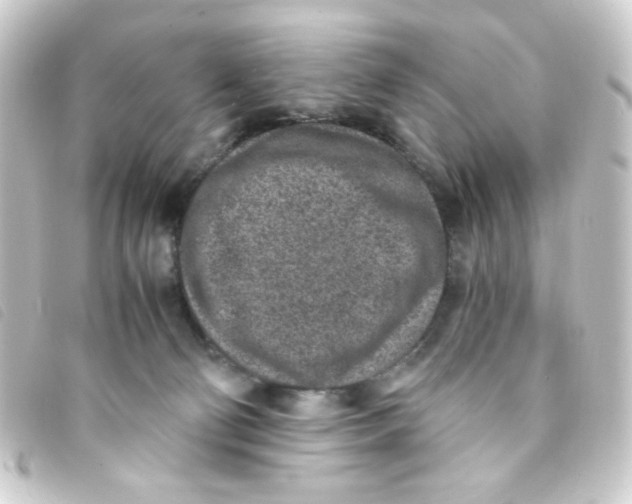 X0000093230130200710241243