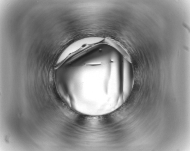 X0000093230131200710241243