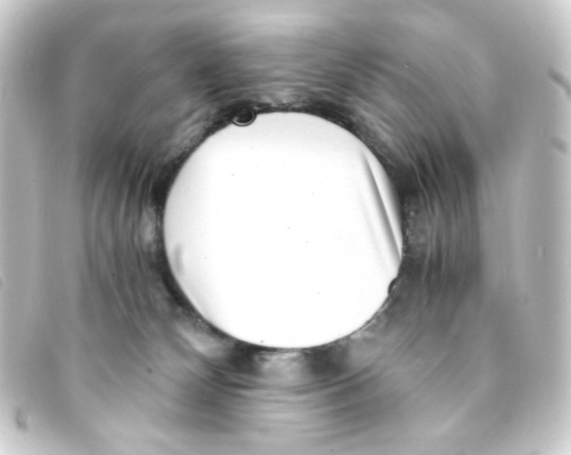 X0000093230132200710241243