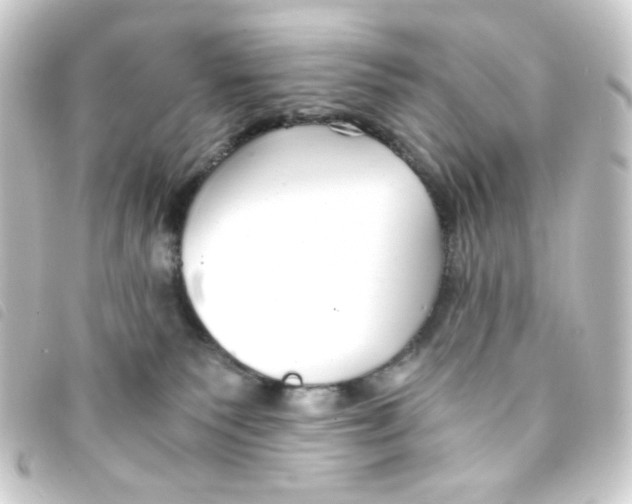 X0000093230135200710241243