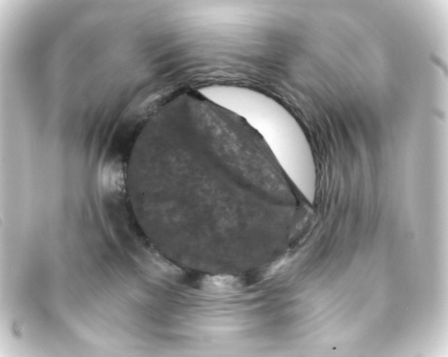 X0000093230137200710241243