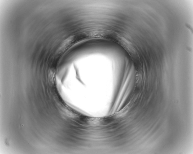 X0000093230142200710241243