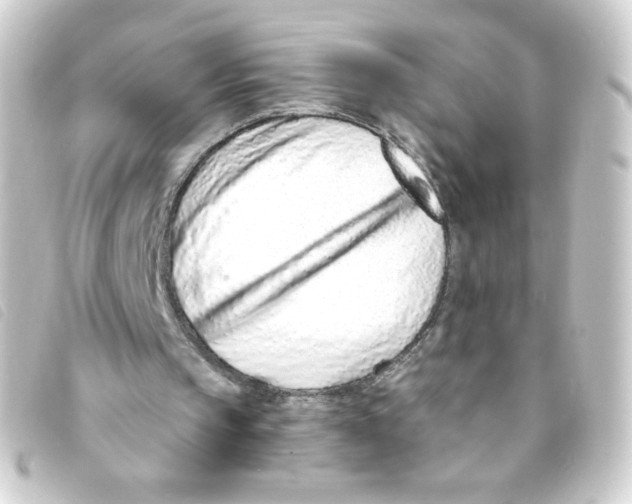 X0000093230145200710241242