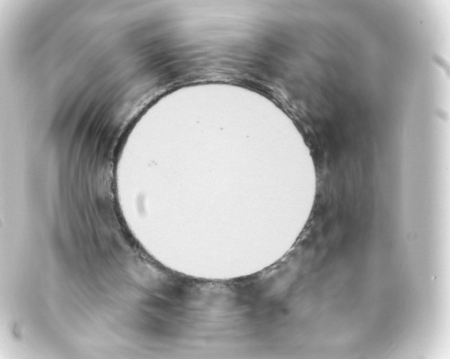 X0000093230146200710241242