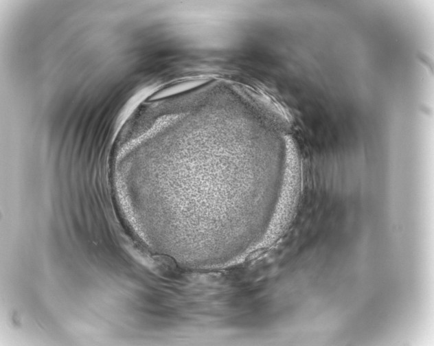 X0000093230147200710241242