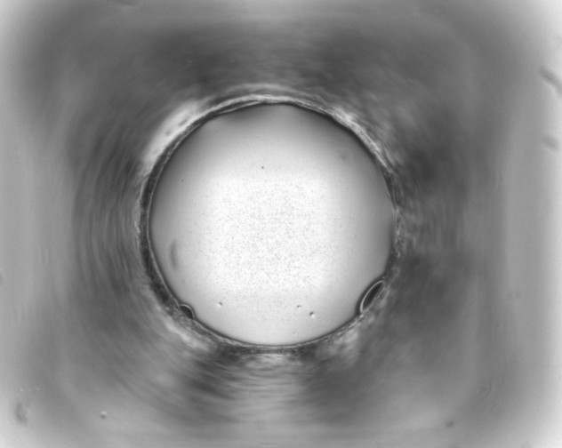 X0000093230151200710241242