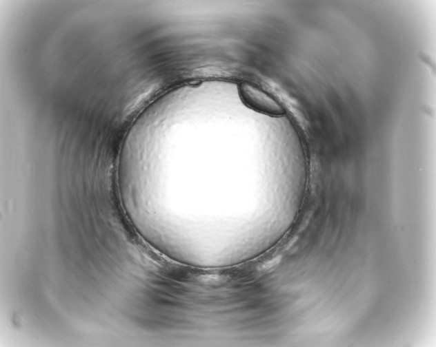 X0000093230153200710241242