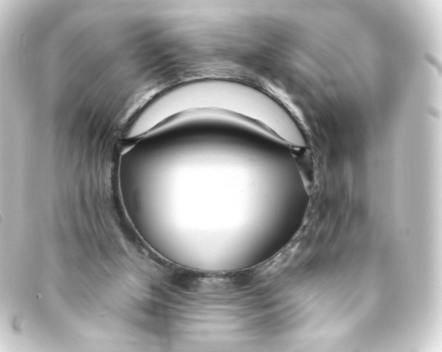 X0000093230154200710241242