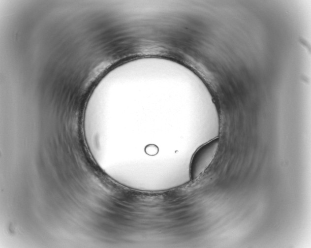 X0000093230155200710241242