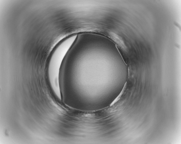 X0000093230156200710241242