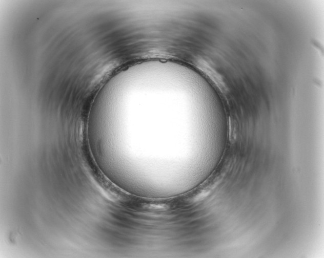 X0000093230157200710241242