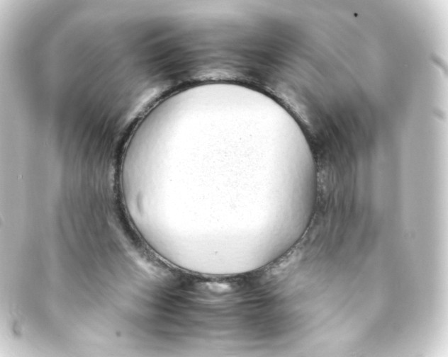 X0000093230159200710241242