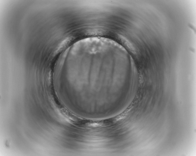 X0000093230163200710241242