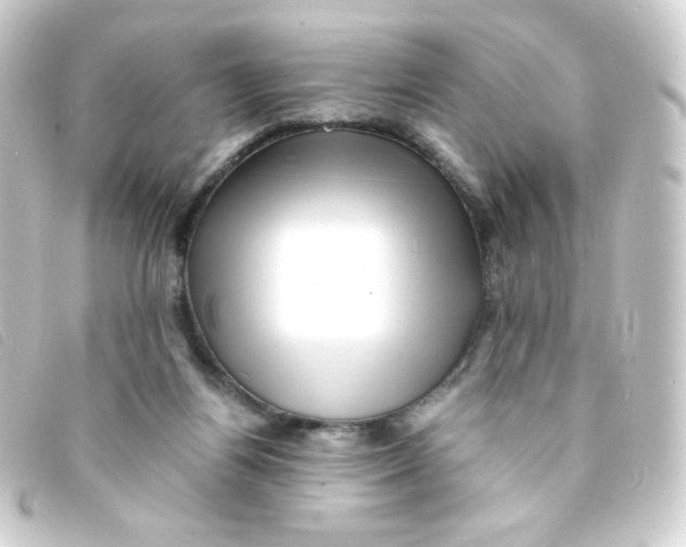 X0000093230164200710241242