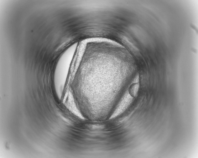 X0000093230165200710241242