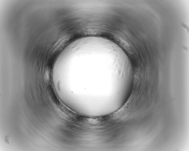 X0000093230166200710241242