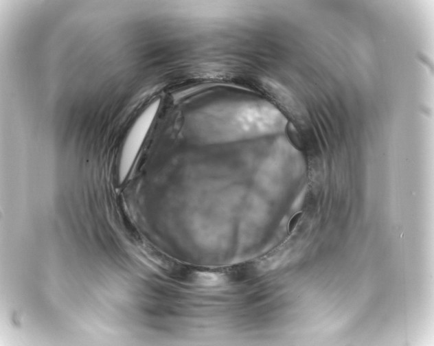 X0000093230167200710241243