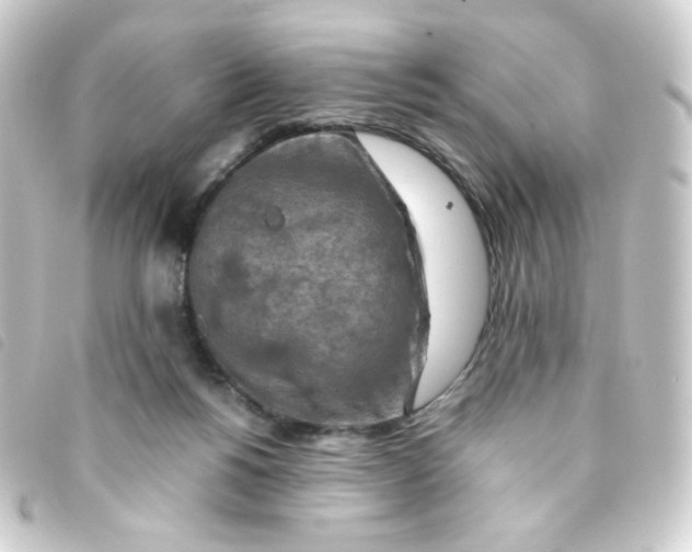 X0000093230168200710241243