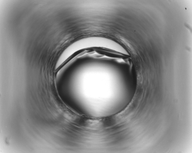 X0000093230170200710241243