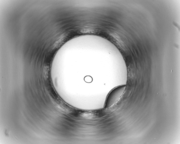 X0000093230171200710241243