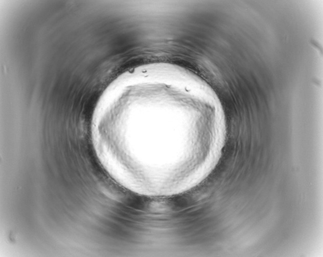 X0000093230173200710241243