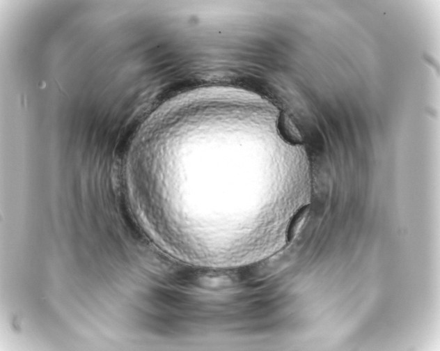 X0000093230175200710241243