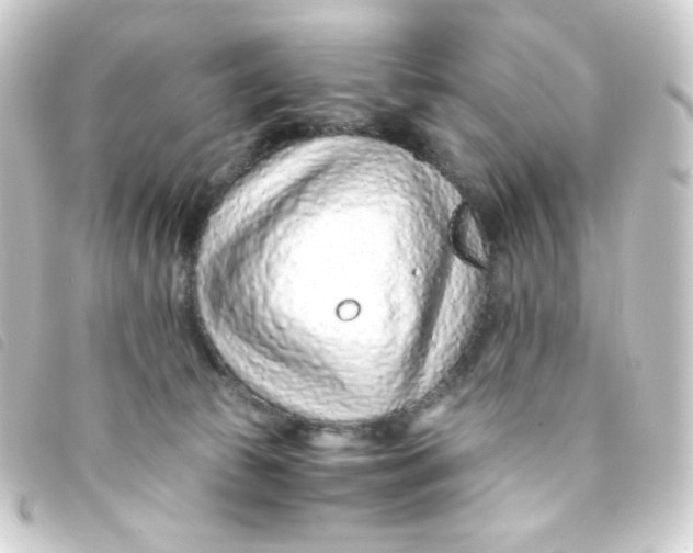 X0000093230177200710241243