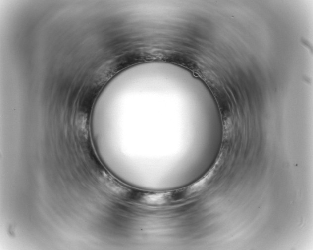 X0000093230178200710241243