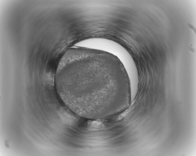 X0000093230180200710241243