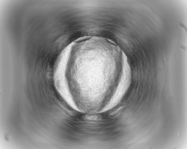 X0000093230181200710241243