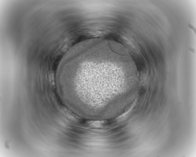 X0000093230182200710241243