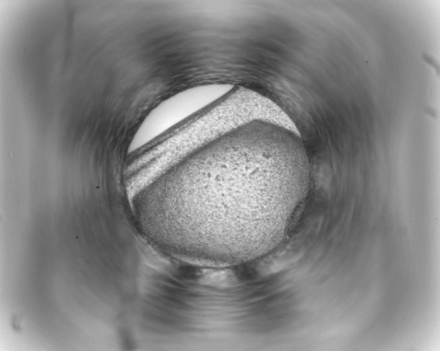 X0000093230185200710241243