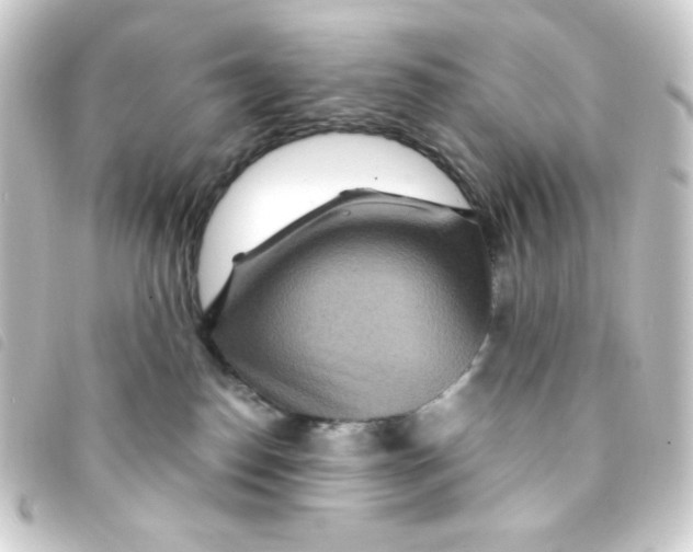 X0000093230186200710241243