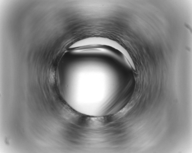 X0000093230188200710241243